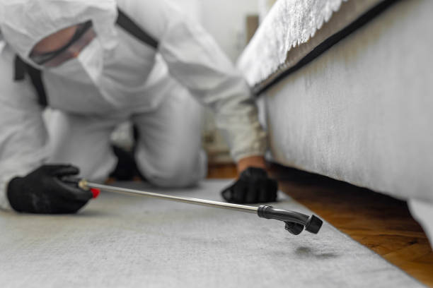 Professional Pest Control technician working in Pasadena Hills, MO