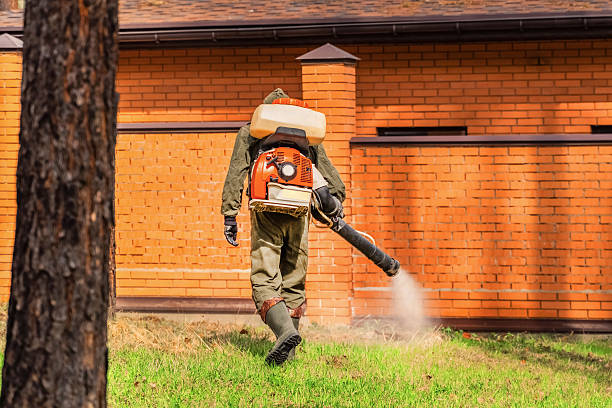 Trusted Bed Bug Control service in Pasadena Hills, MO - Nex Pest Control